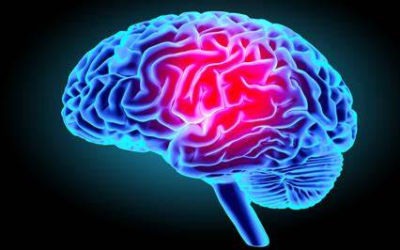 NOTRE CERVEAU EST TELLEMENT FORMIDABLE
